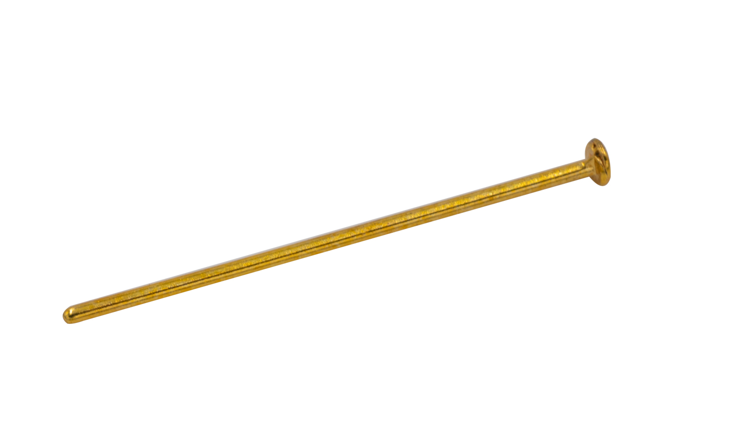 1256.jpg